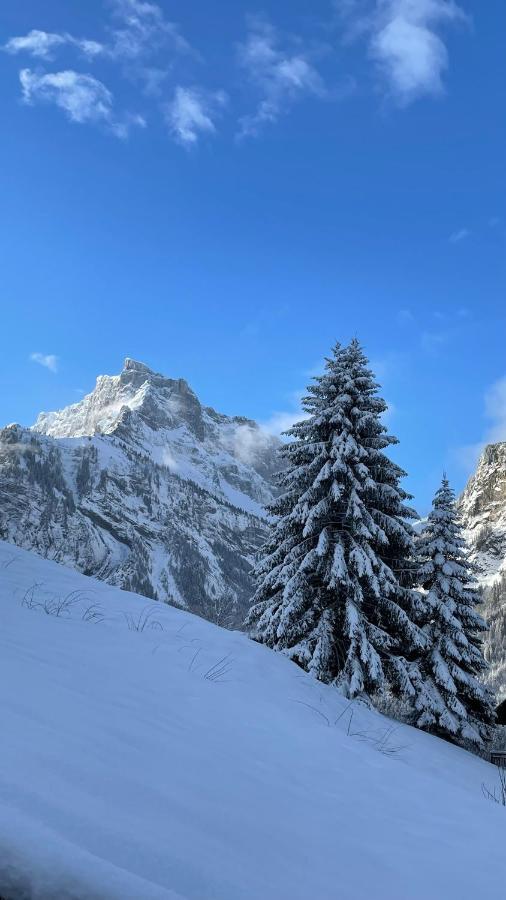 Chalet*** Au Pied D'Une Prairie Face A La Montagne Sixt-Fer-a-Cheval Bagian luar foto