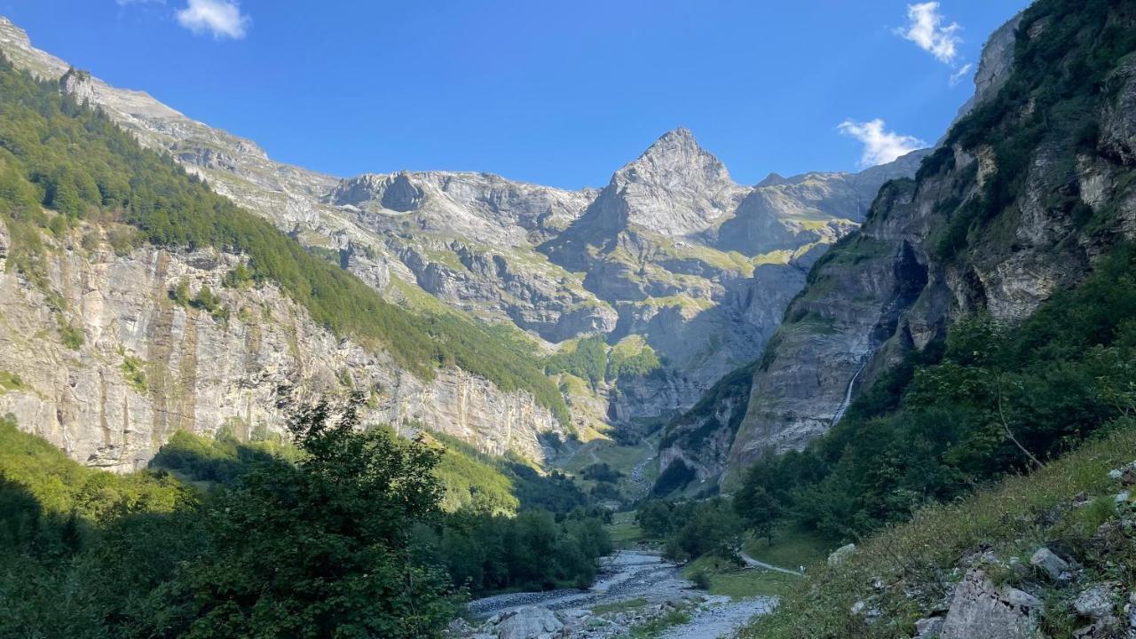 Chalet*** Au Pied D'Une Prairie Face A La Montagne Sixt-Fer-a-Cheval Bagian luar foto